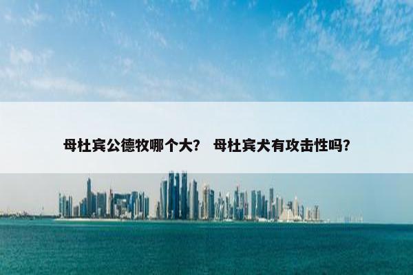 母杜宾公德牧哪个大？ 母杜宾犬有攻击性吗？
