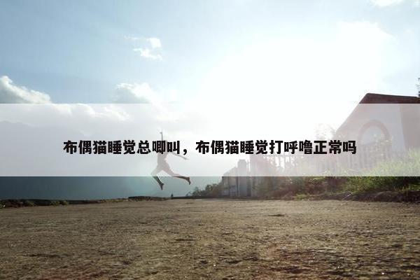 布偶猫睡觉总唧叫，布偶猫睡觉打呼噜正常吗