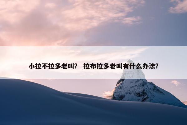 小拉不拉多老叫？ 拉布拉多老叫有什么办法？