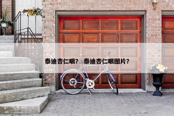 泰迪杏仁眼？ 泰迪杏仁眼图片？