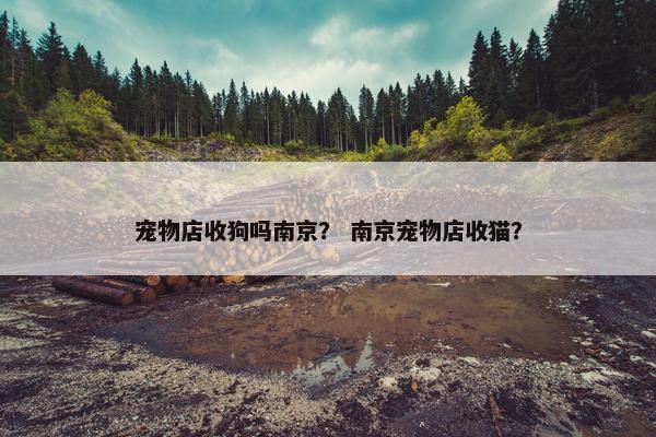 宠物店收狗吗南京？ 南京宠物店收猫？