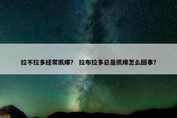 拉不拉多经常抓痒？ 拉布拉多总是抓痒怎么回事？