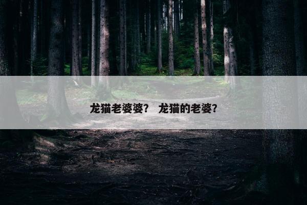 龙猫老婆婆？ 龙猫的老婆？