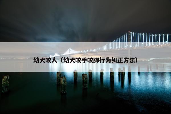 幼犬咬人（幼犬咬手咬脚行为纠正方法）