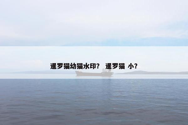 暹罗猫幼猫水印？ 暹罗猫 小？