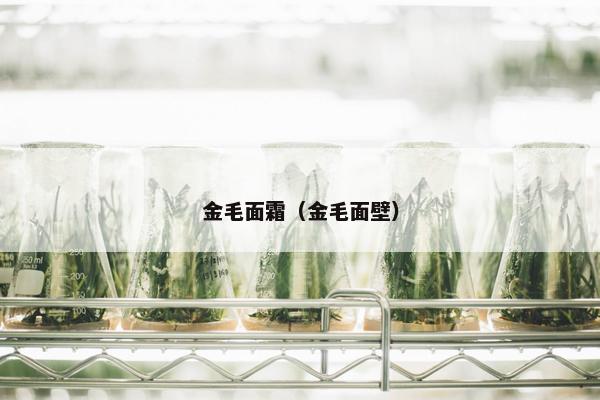 金毛面霜（金毛面壁）