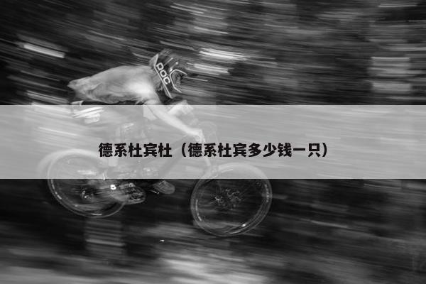 德系杜宾杜（德系杜宾多少钱一只）