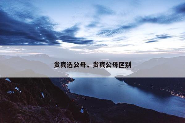 贵宾选公母，贵宾公母区别