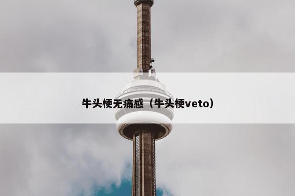 牛头梗无痛感（牛头梗veto）