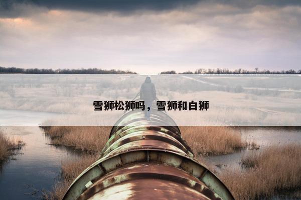 雪狮松狮吗，雪狮和白狮