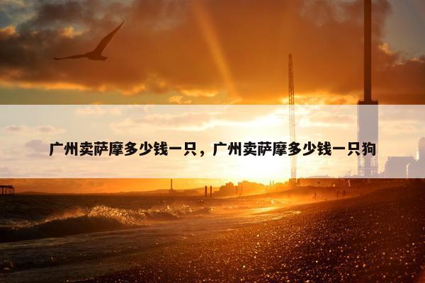 广州卖萨摩多少钱一只，广州卖萨摩多少钱一只狗