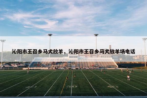 沁阳市王召乡马犬放羊，沁阳市王召乡马犬放羊场电话