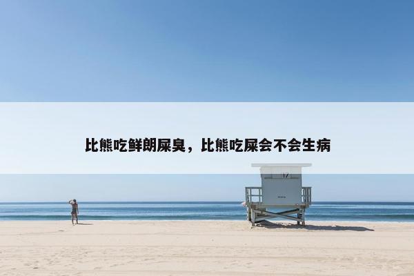 比熊吃鲜朗屎臭，比熊吃屎会不会生病