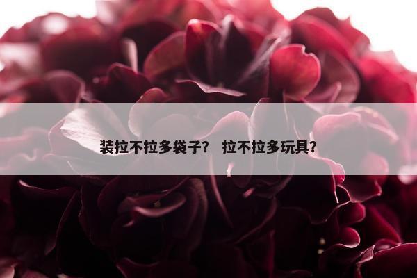 装拉不拉多袋子？ 拉不拉多玩具？