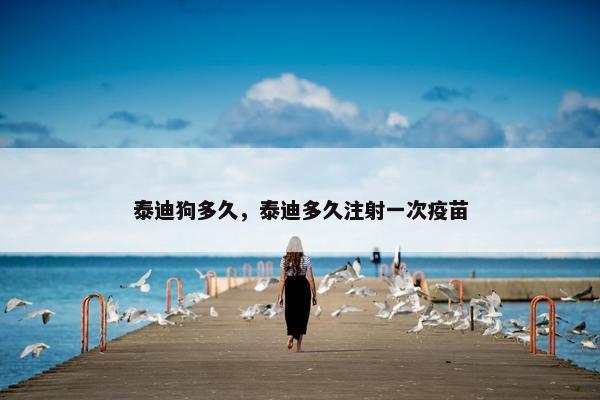 泰迪狗多久，泰迪多久注射一次疫苗