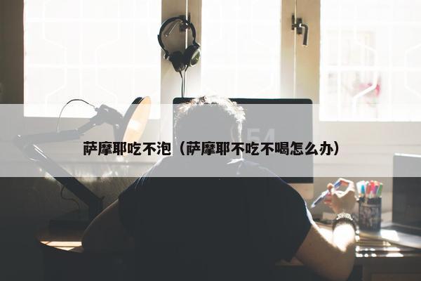 萨摩耶吃不泡（萨摩耶不吃不喝怎么办）