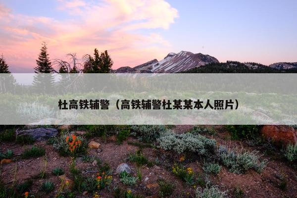 杜高铁辅警（高铁辅警杜某某本人照片）