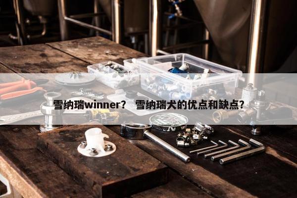 雪纳瑞winner？ 雪纳瑞犬的优点和缺点？