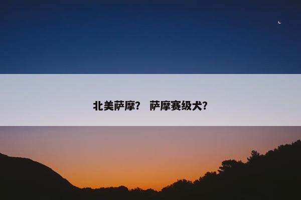 北美萨摩？ 萨摩赛级犬？