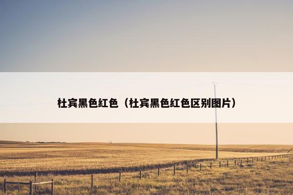 杜宾黑色红色（杜宾黑色红色区别图片）