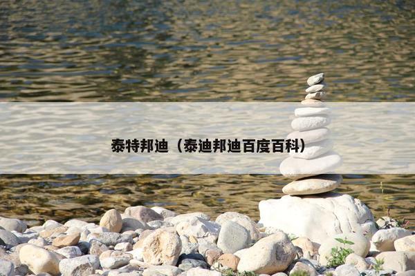 泰特邦迪（泰迪邦迪百度百科）