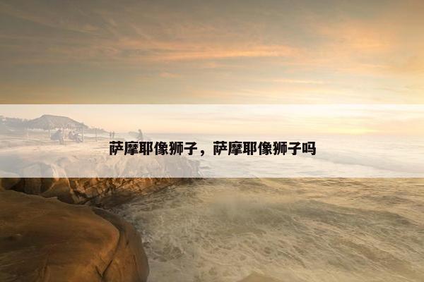 萨摩耶像狮子，萨摩耶像狮子吗