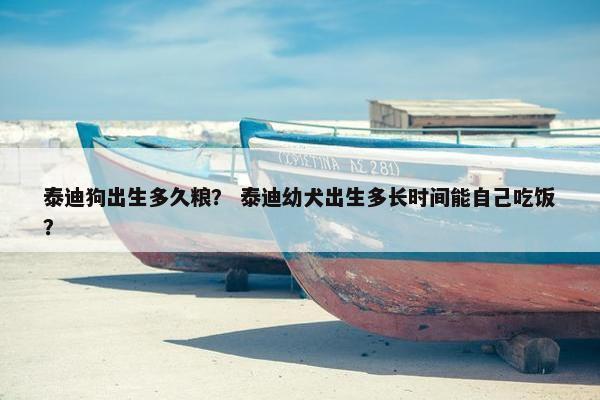 泰迪狗出生多久粮？ 泰迪幼犬出生多长时间能自己吃饭？