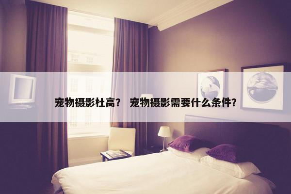 宠物摄影杜高？ 宠物摄影需要什么条件？