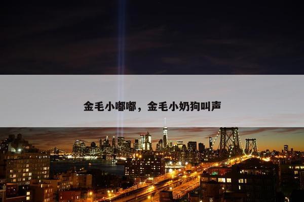 金毛小嘟嘟，金毛小奶狗叫声