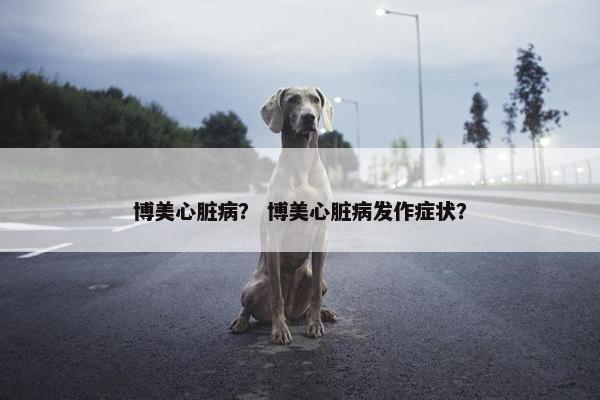 博美心脏病？ 博美心脏病发作症状？