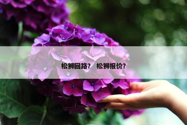 松狮回路？ 松狮报价？