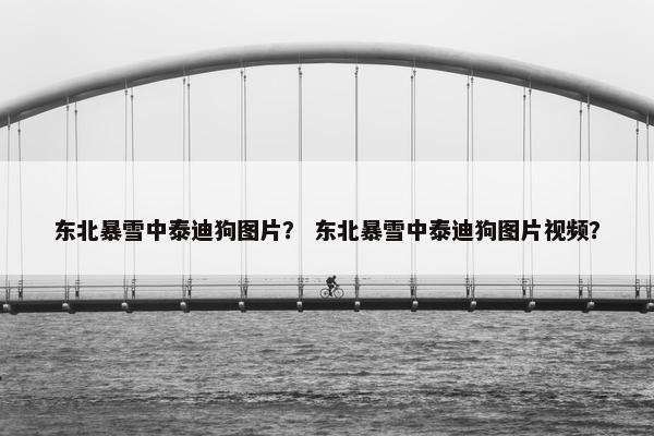 东北暴雪中泰迪狗图片？ 东北暴雪中泰迪狗图片视频？