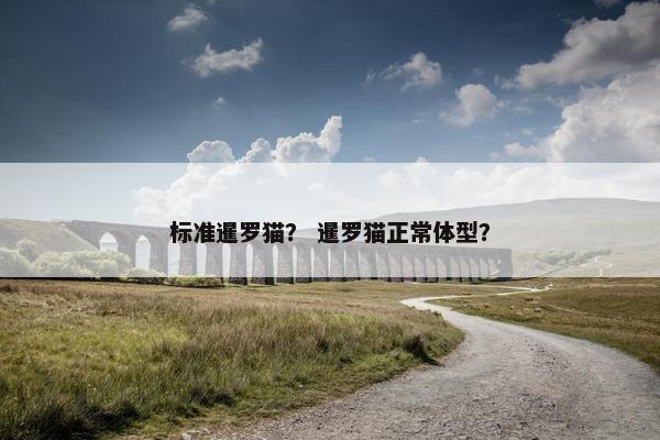 标准暹罗猫？ 暹罗猫正常体型？