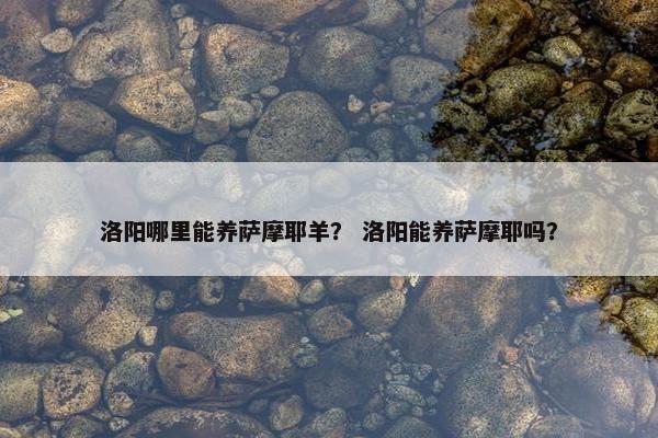 洛阳哪里能养萨摩耶羊？ 洛阳能养萨摩耶吗？