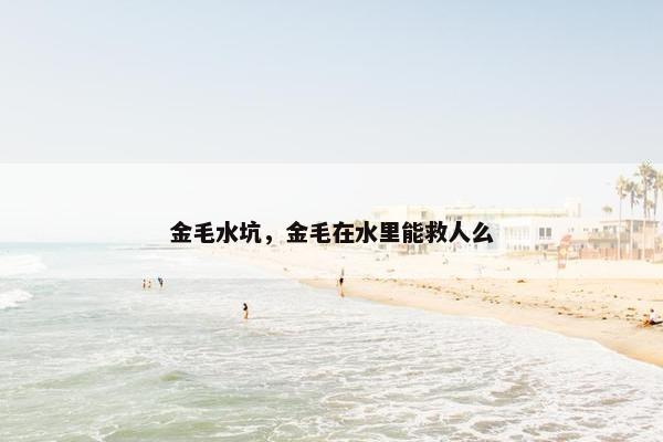金毛水坑，金毛在水里能救人么