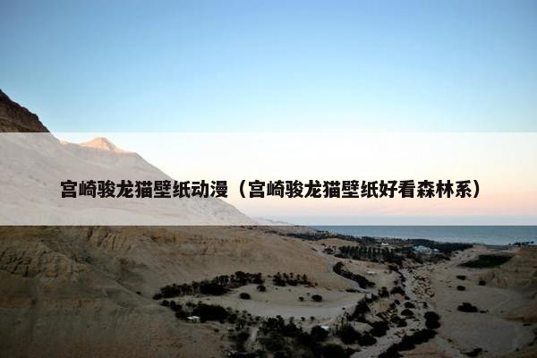 宫崎骏龙猫壁纸动漫（宫崎骏龙猫壁纸好看森林系）