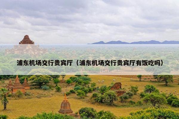 浦东机场交行贵宾厅（浦东机场交行贵宾厅有饭吃吗）