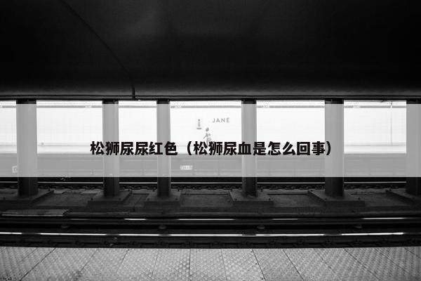 松狮尿尿红色（松狮尿血是怎么回事）