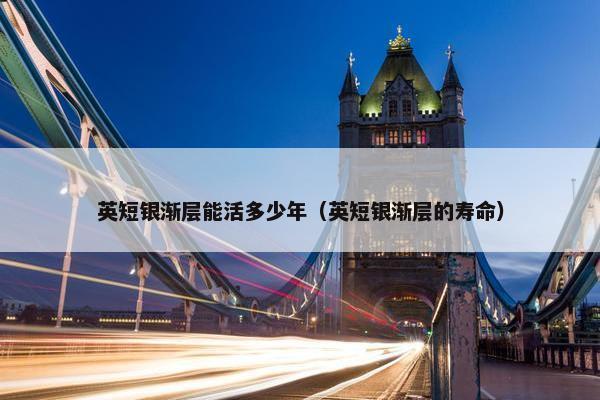 英短银渐层能活多少年（英短银渐层的寿命）