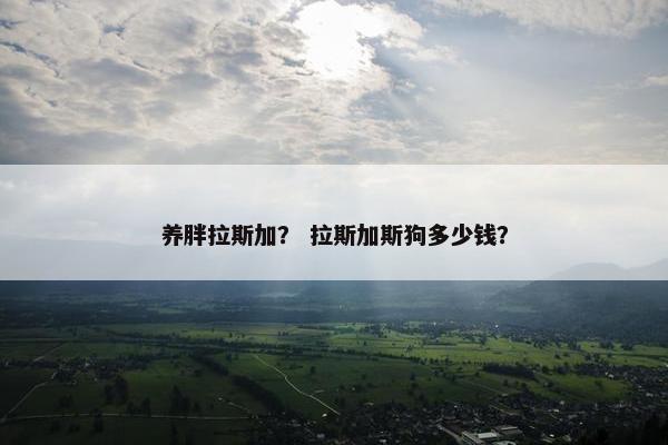 养胖拉斯加？ 拉斯加斯狗多少钱？