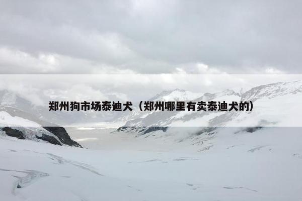 郑州狗市场泰迪犬（郑州哪里有卖泰迪犬的）