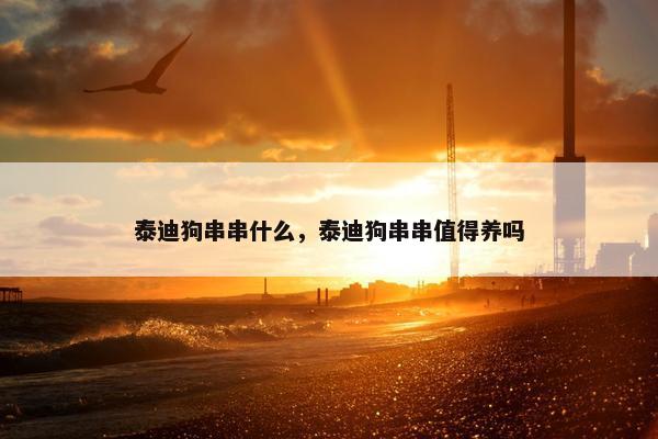 泰迪狗串串什么，泰迪狗串串值得养吗