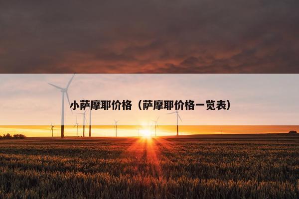 小萨摩耶价格（萨摩耶价格一览表）