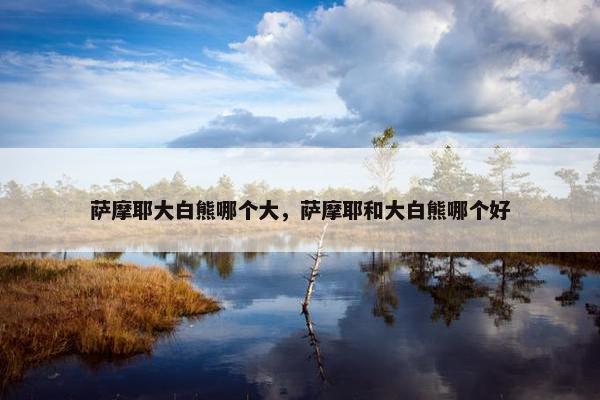萨摩耶大白熊哪个大，萨摩耶和大白熊哪个好