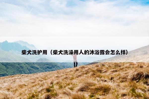 柴犬洗护用（柴犬洗澡用人的沐浴露会怎么样）