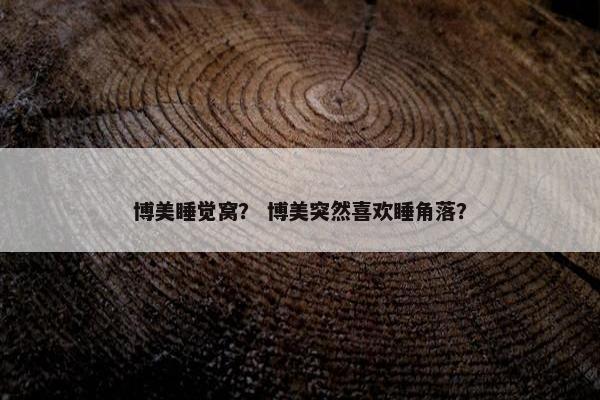 博美睡觉窝？ 博美突然喜欢睡角落？
