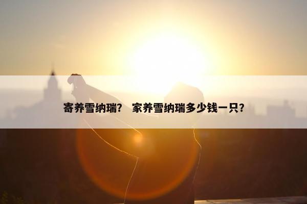 寄养雪纳瑞？ 家养雪纳瑞多少钱一只？