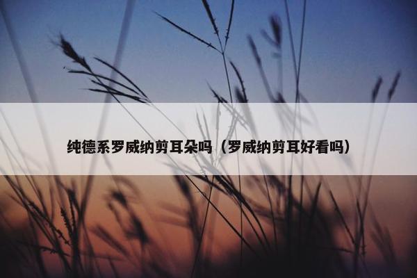 纯德系罗威纳剪耳朵吗（罗威纳剪耳好看吗）
