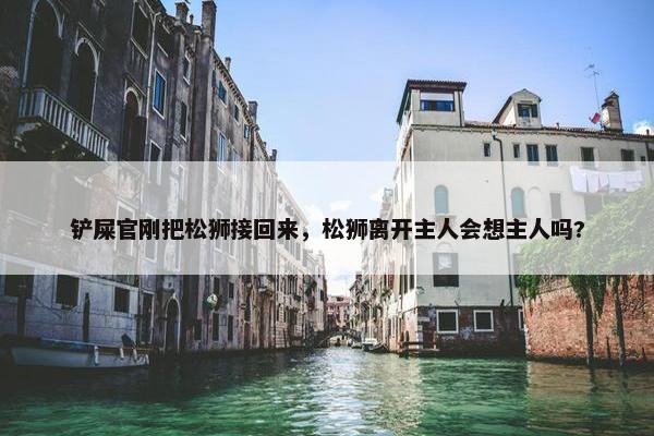 铲屎官刚把松狮接回来，松狮离开主人会想主人吗?