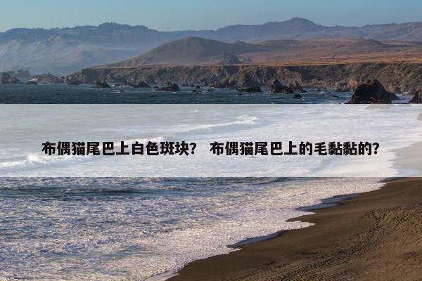 布偶猫尾巴上白色斑块？ 布偶猫尾巴上的毛黏黏的？